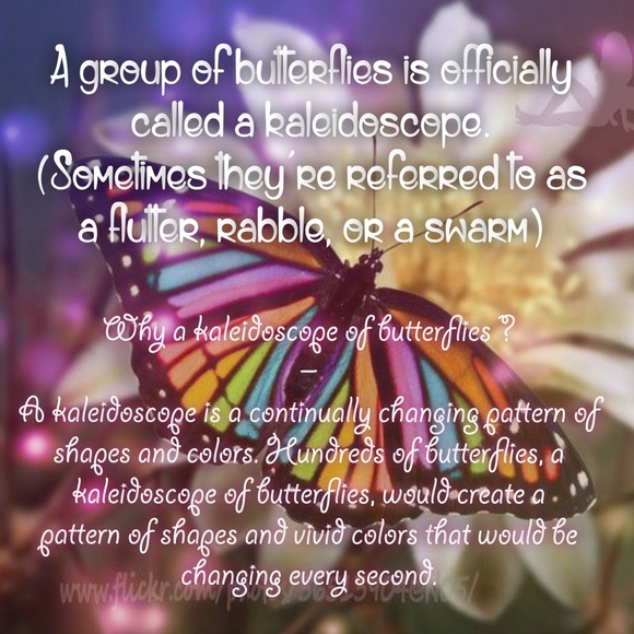 [COME BACK & ADD NEW BLUES!] My First Share Game - Picture 5 of 7